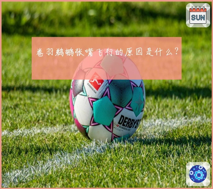 卷羽鹈鹕张嘴飞行的原因是什么？