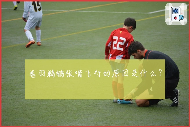 卷羽鹈鹕张嘴飞行的原因是什么？